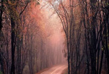 都体:夏窗可能会有球队为比塞克报价4000万到5000万欧.