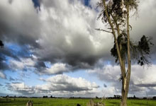 28圈:足球市场:米兰、那不勒斯有意热刺前锋库卢塞夫斯基.