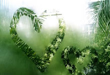 排球——全运会资格赛女子成年组赛况:北京胜四川.