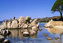 [图]米内罗帽子戏法 上海申花战胜神户胜利船.